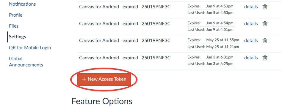 Canvas 设置页里的 + New Access Token